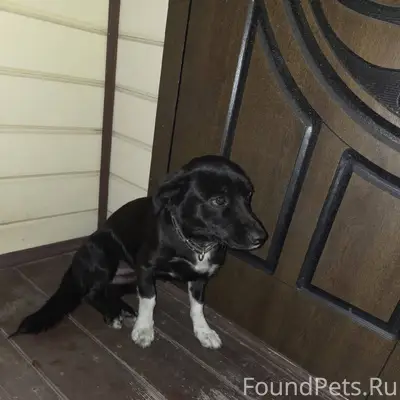 Здравствуйте, в с. Михеево убе...