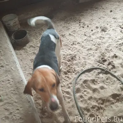 Всем здравствуйте, была найден...