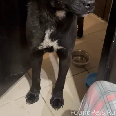 По адресу Победы 22В уже неско...