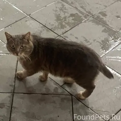 Ржев, Тверская область ❗️Пропа...