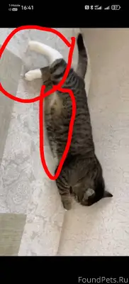 Здравствуйте Помогите найти ко...