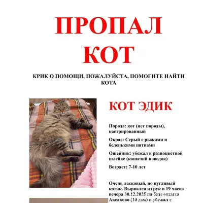 ПРОПАЛ КОТ в районе Аксаково -...