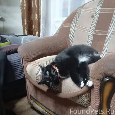 Дорогие друзья! Максимальный р...