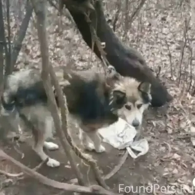 УВАЖАЕМЫЕ ГОРОЖАНЕ!! Нужна ИНФ...