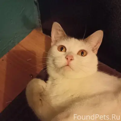 Г. Балаково. Саратовская облас...