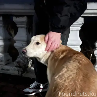 Дзержинск. По набережной бегае...