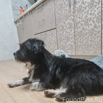 Друзья!Помогите репостом! Мкр ...