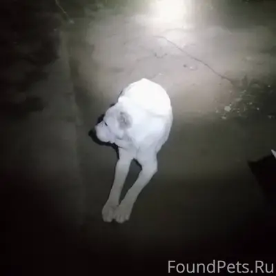 Админ пожалуйста выложи Увезал...