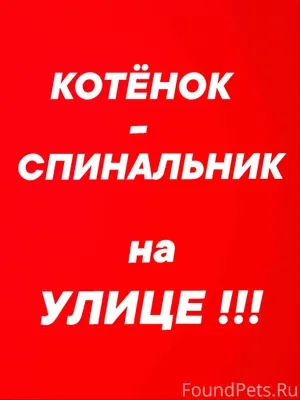 #помогаю_информационно 🆘ПЕРЕБИ...