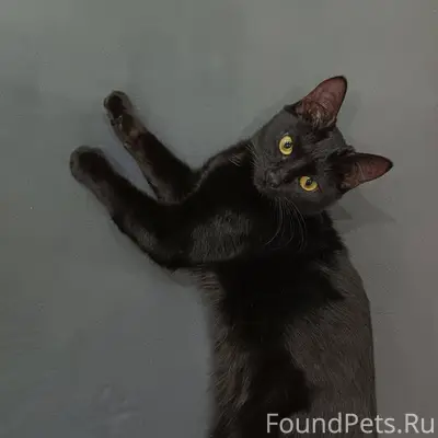 30 ноября по адресу Комсомольс...