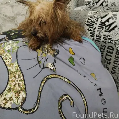 Московский район Рязань найден...