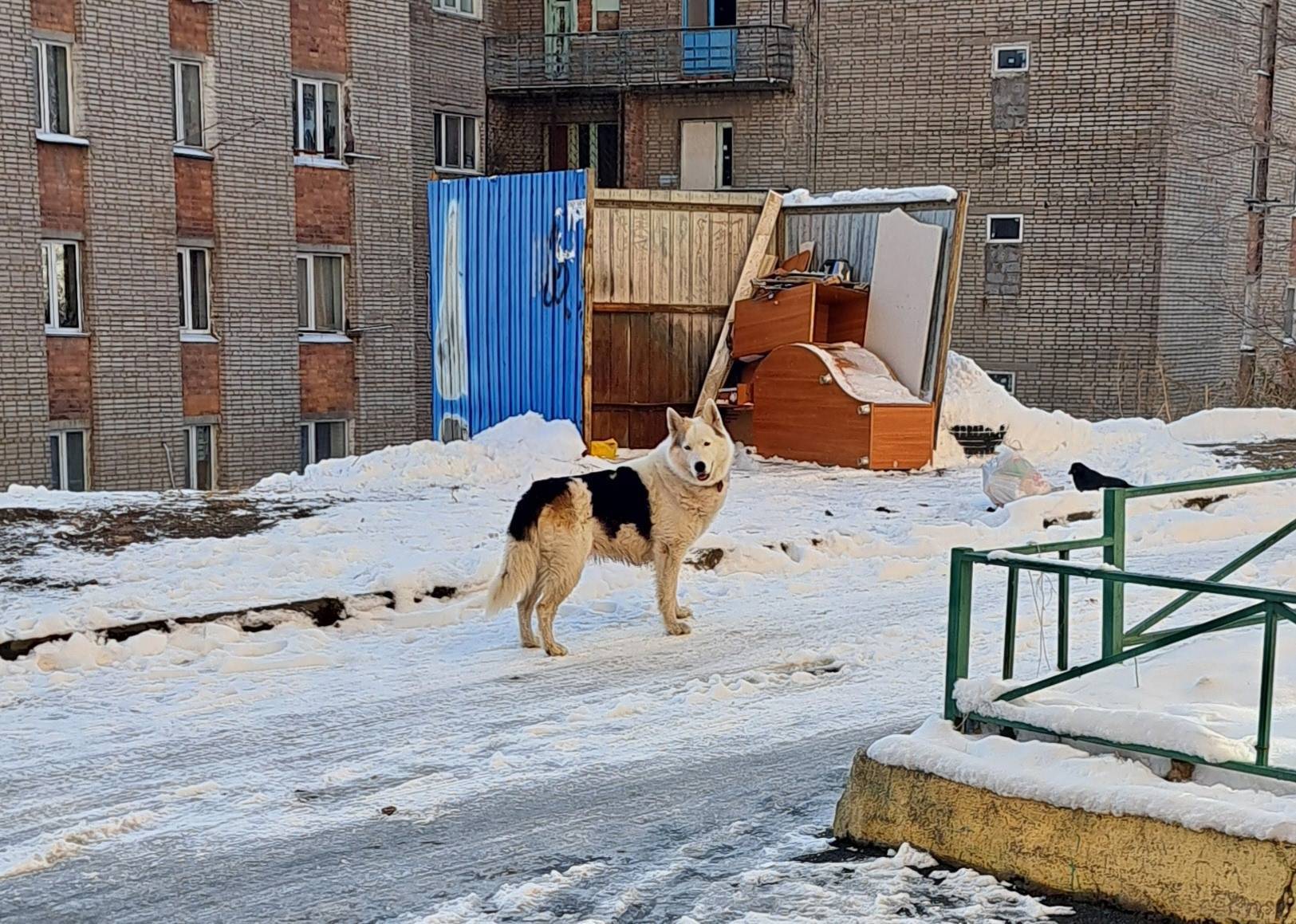 В районе ул. Русской 61, 3й...