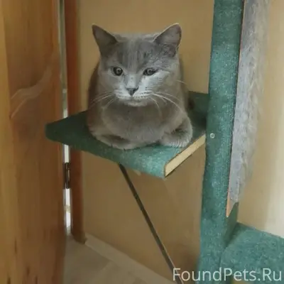 Админ выложи пожалуйста.Пример...