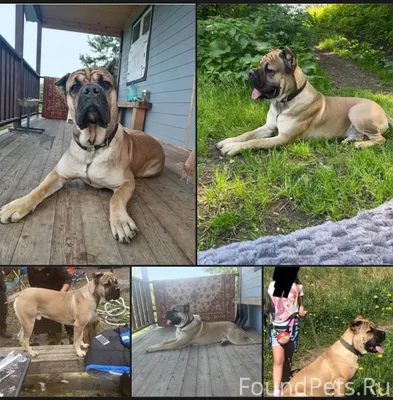 Друзья, Арс мой ученик! Пожалу...