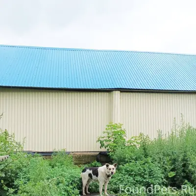 Уважаемые жители города. Пропа...