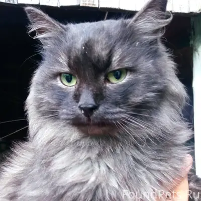 Г. Сатка Челябинской области 🆘...