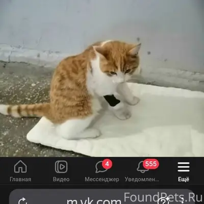 В выходные в подъезде дома на....