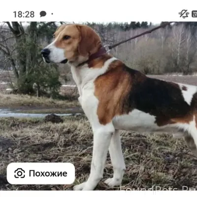 Всем доброго времени суток 10....