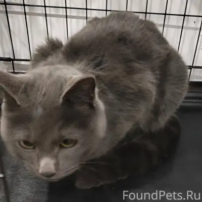 И снова у нас новый подопечный...