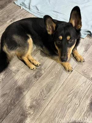 Очень прошу - максимальный реп...