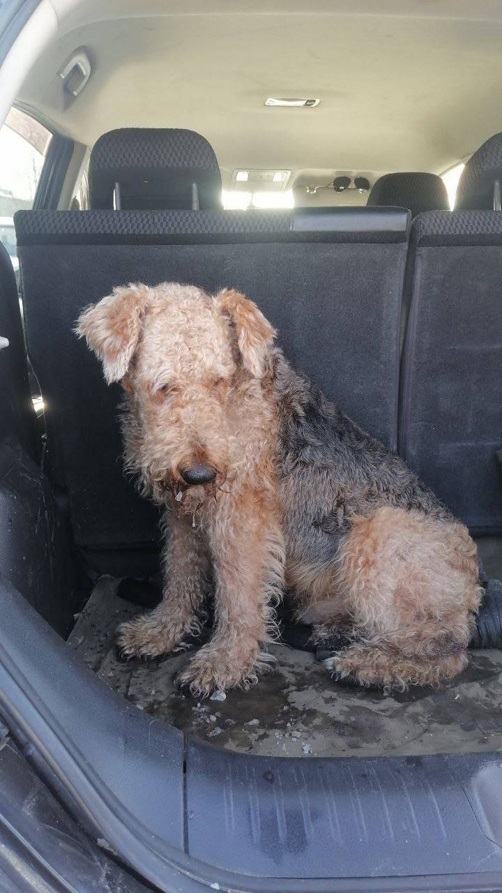 Нужна максимальная информацион...