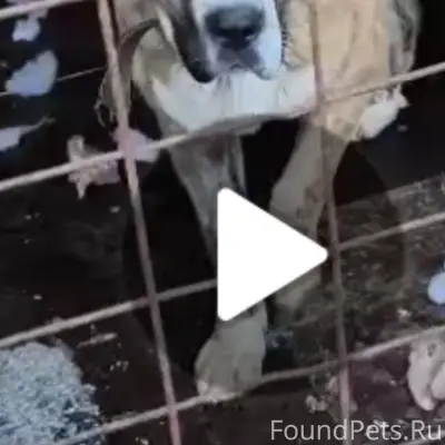 ❗❗❗ПОМОГАЕМ ИНФОРМАЦИОННО❗❗❗ 9...