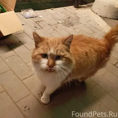 Помогаю информационно. Около м...