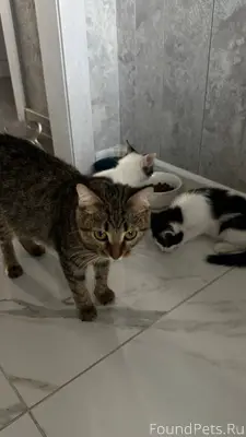 Добрый день! Родственники поги...