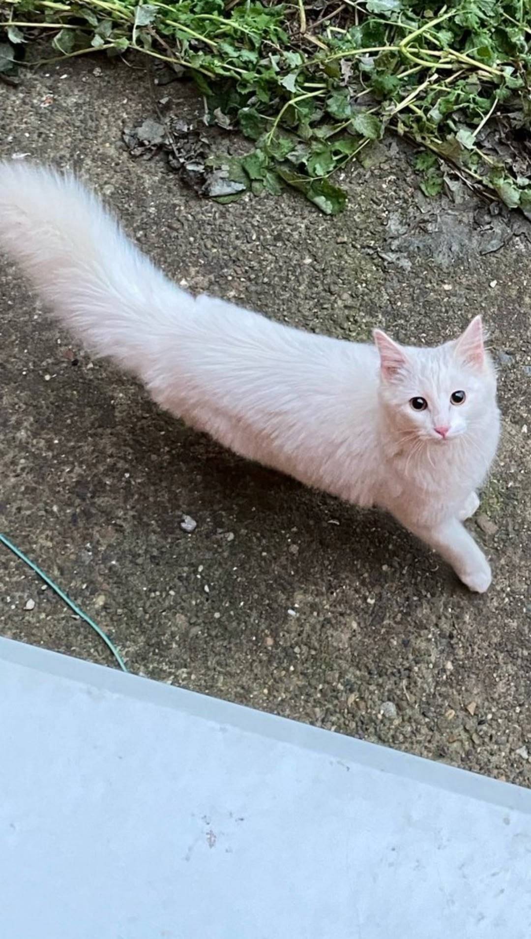 #Звенигово. Со вчерашнего дня ...