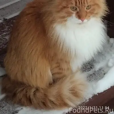 08.12.25 в районе Ленинградско...