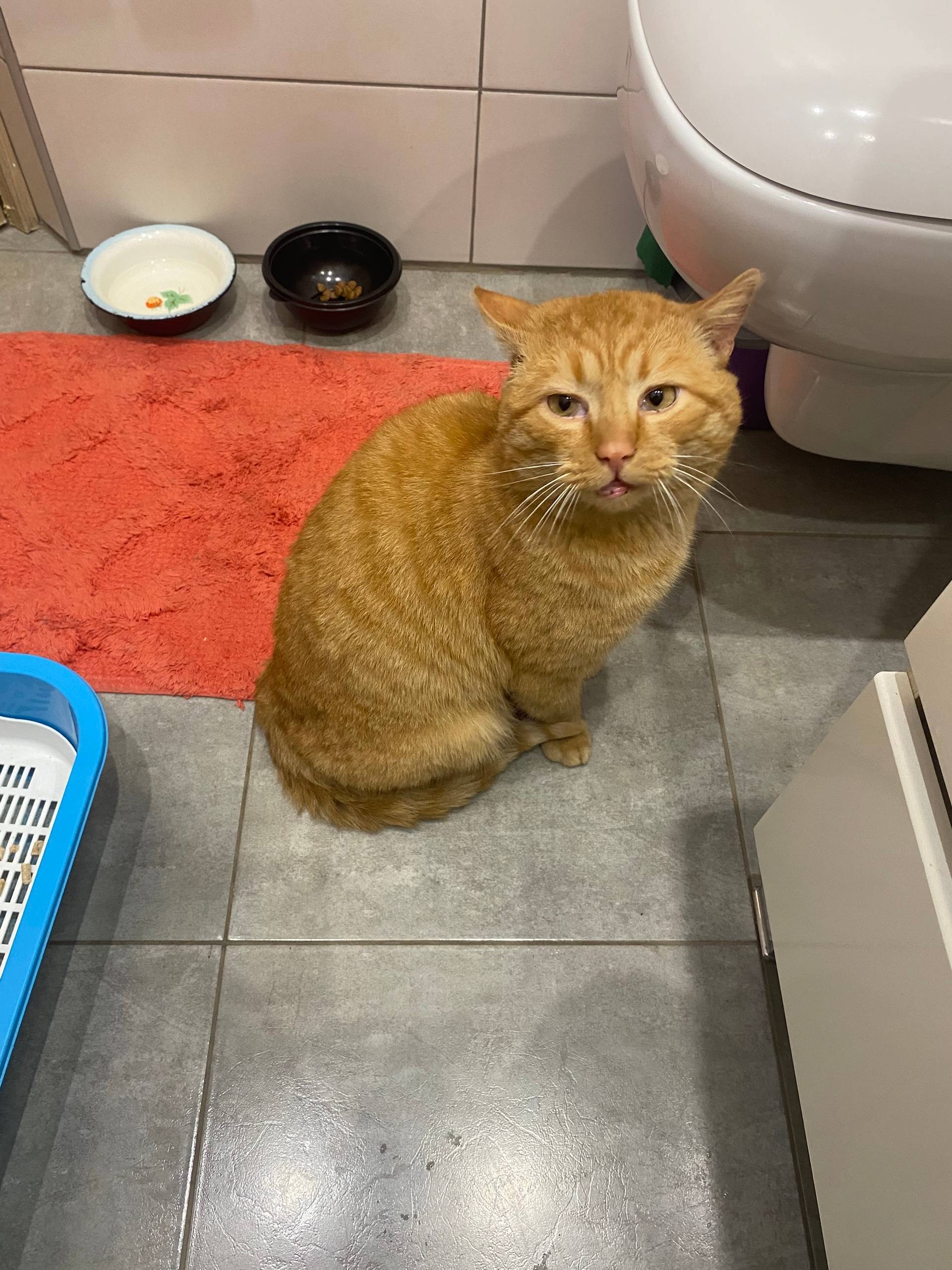 В районе ул Ломоносова найден ...