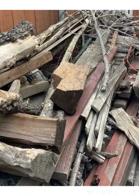 Найдите Кота.