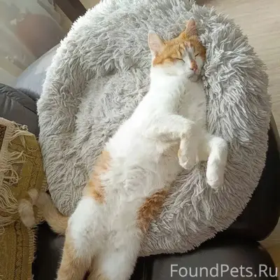 ❗ В районе Малеевки В своих...