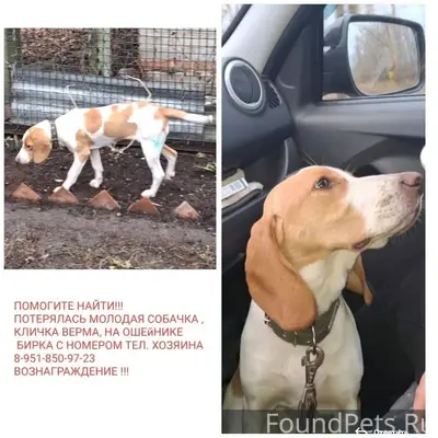 Помогите найти!!! 30.11.25 про...