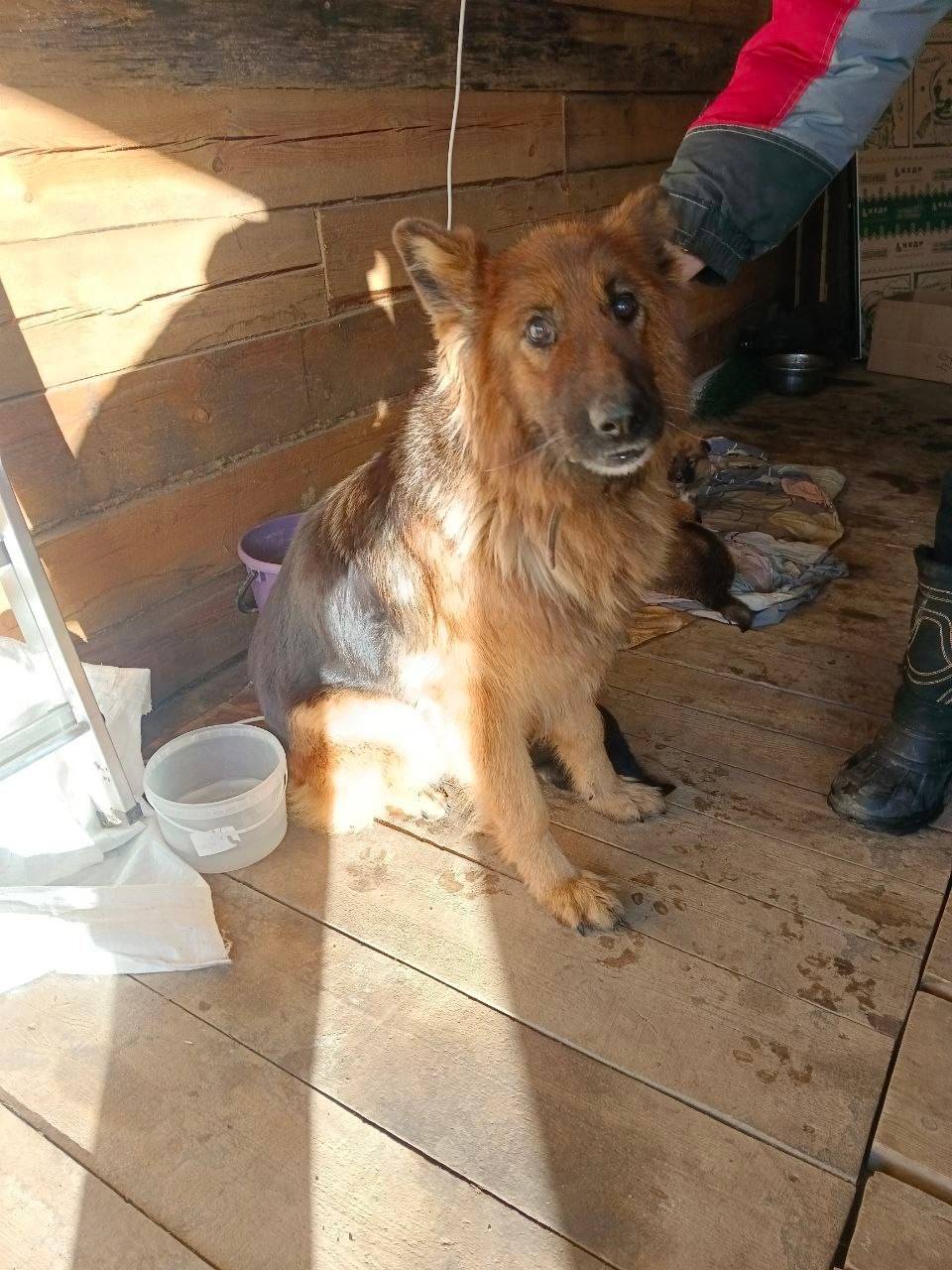 ‼️Пол года назад нашли немку. ...