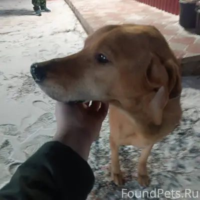 Сегодня, 11.12.25 вечером, на....