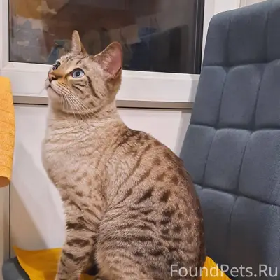 На улице Катукова возле молком...