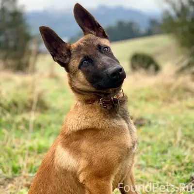 Здравствуйте в районе Батурок(...
