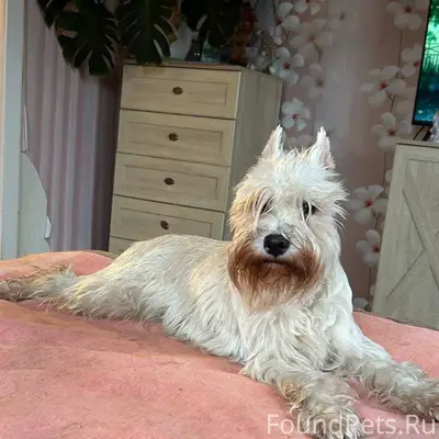 Присмотритесь вдруг где то вид...