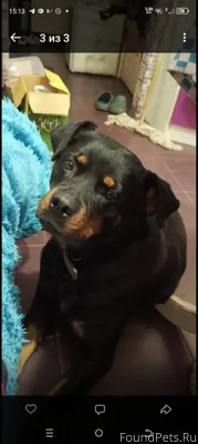 ЭТОТ ПОСТ УВИДЕЛА Я В ТГ...