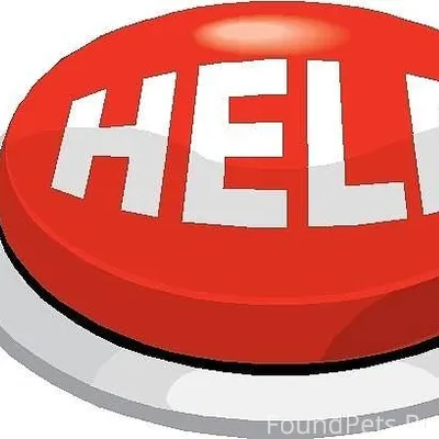 Очень нужна помощь! Полысаево,...