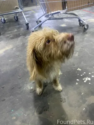 Новочебоксарск, склад Озон на ...