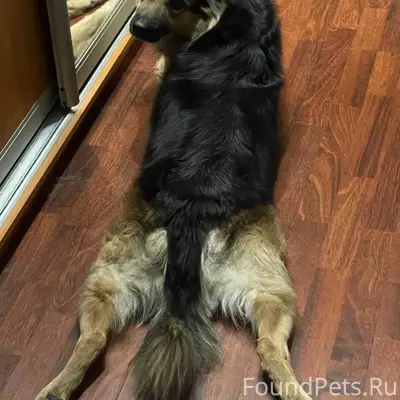 ❗️❗️❗️СРОЧНО❗️❗️❗️❗️❗️❗️❗️ПРОП...