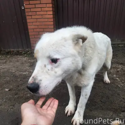 04.12.2025 в Звенигороде, окол...
