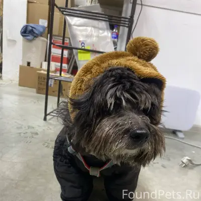 Внимание! Во втором микрорайон...