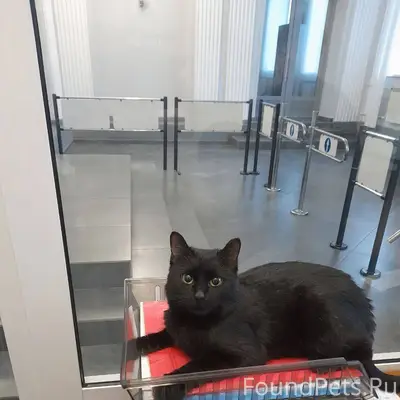 На улице Ленина дом 39 найден....