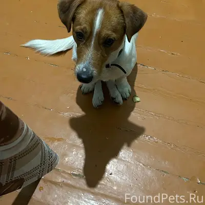 Здравствуйте, помогите найти С...