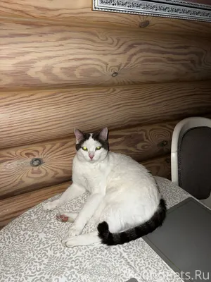 ❗️❗️❗️ в четверг 4 декабря про...