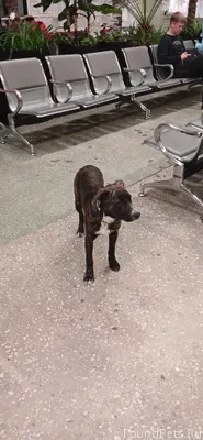 На первоуральском жд.вокзале б...