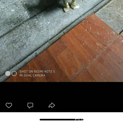 В Рыбхозяйство на Полетаевском...